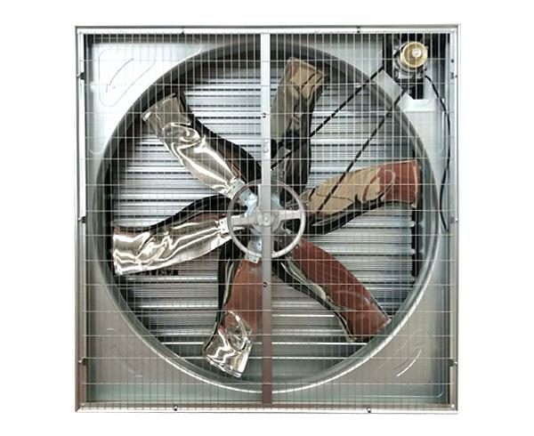 畜牧蘑菇视频网页的安装效果及通风原理