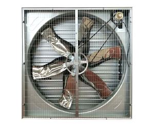 安装畜牧蘑菇视频网页的注意事项