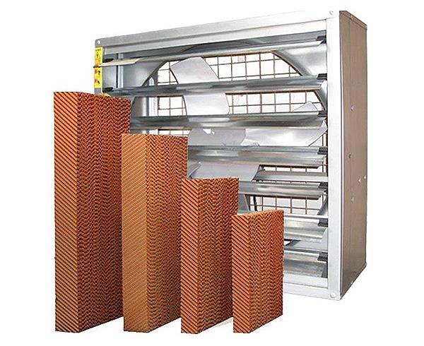 安装蘑菇视频网页水帘的方法