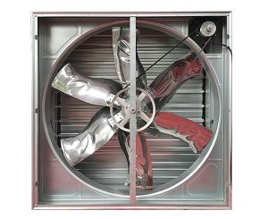 负压蘑菇视频网页的负压通风技巧